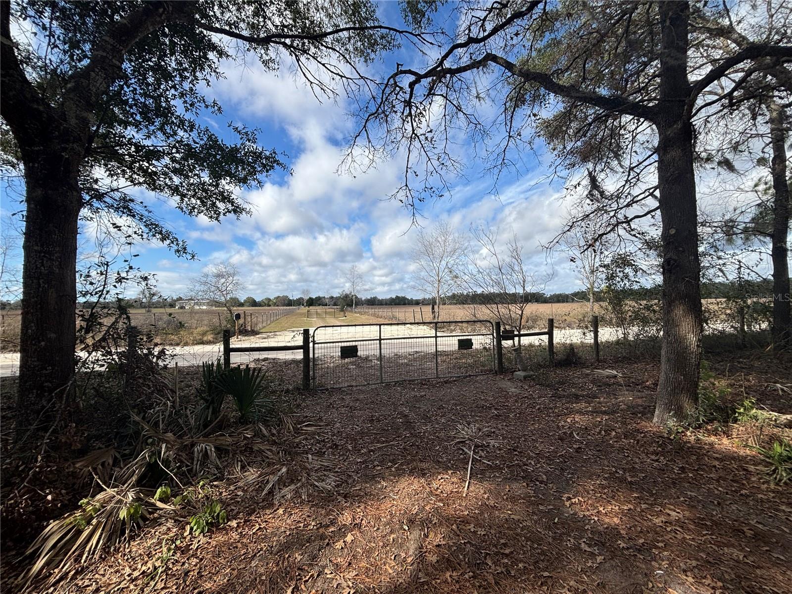 31 SE 190TH AVE, OLD TOWN, FL — photo 7