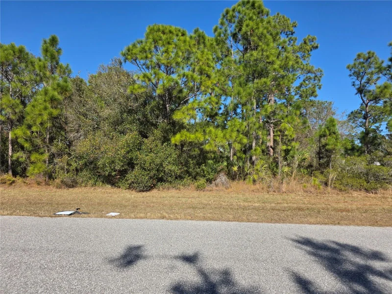 HORNBUCKLE BLVD, NORTH PORT, FL