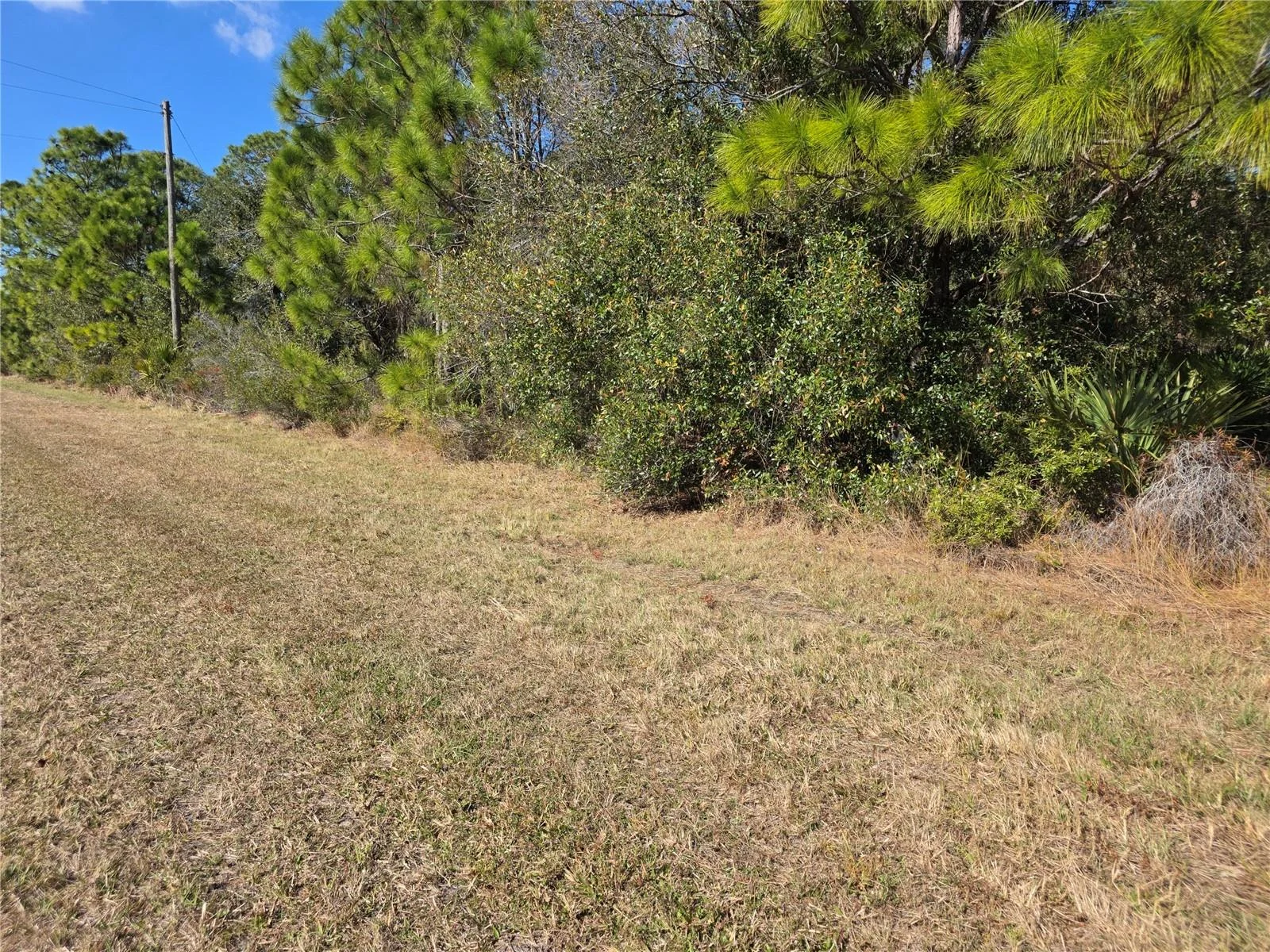 HORNBUCKLE BLVD, NORTH PORT, FL — photo 2