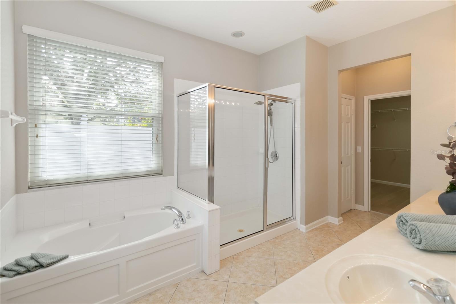 13519 BICTON LN, WINDERMERE, FL — photo 28