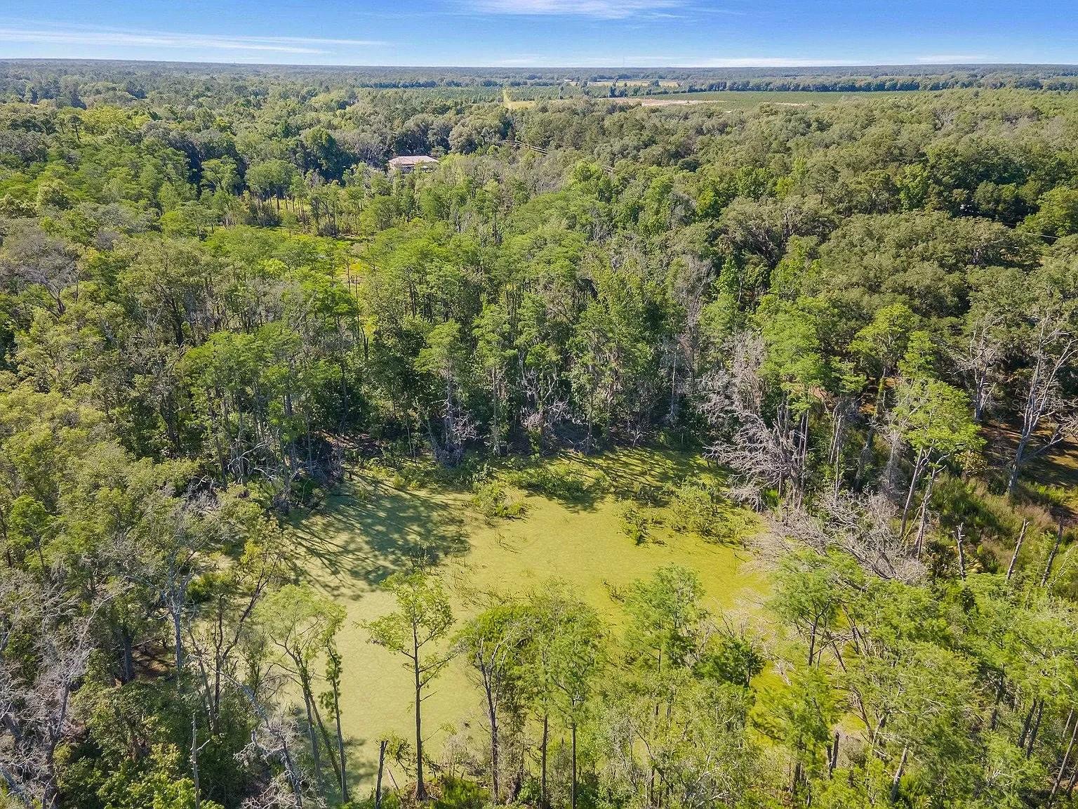 2000 MIXON RD, PERRY, FL — photo 3