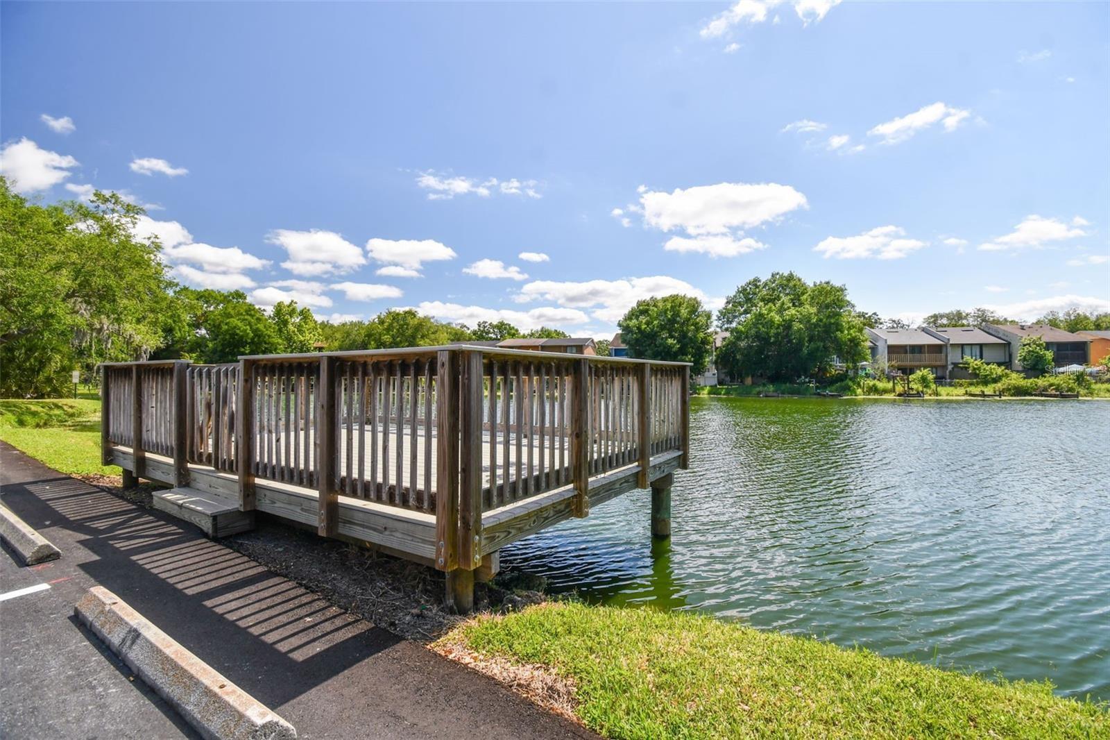 4131 DOLPHIN DR #4131, TAMPA, FL — photo 16
