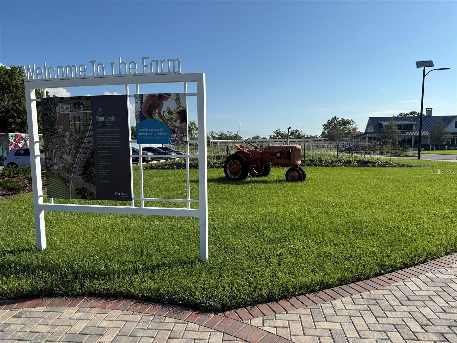 17399 NECTAR FLUME DR, LAND O LAKES, FL — photo 36