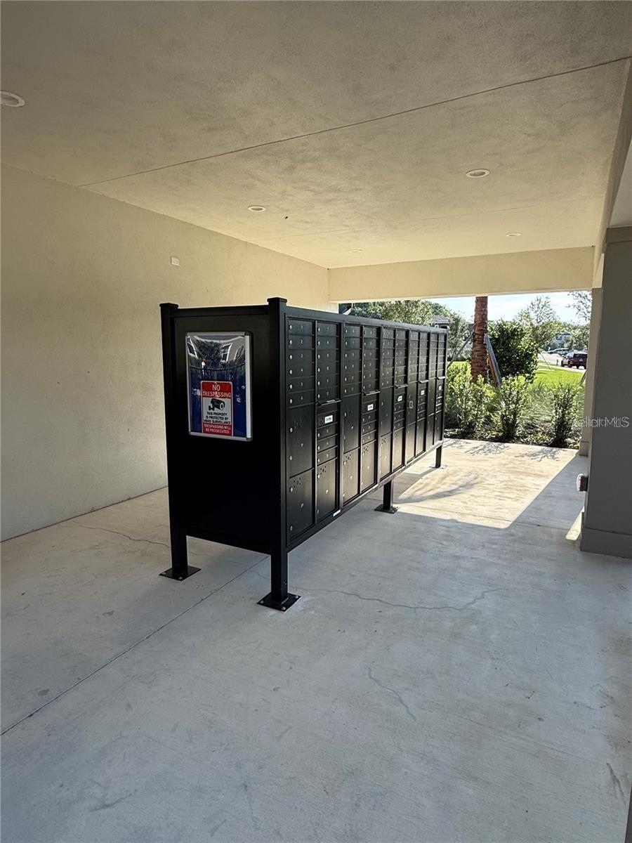 17399 NECTAR FLUME DR, LAND O LAKES, FL — photo 43