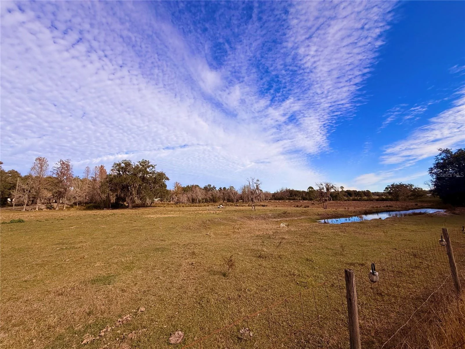 13942 MASCOTTE EMPIRE RD, GROVELAND, FL — photo 18
