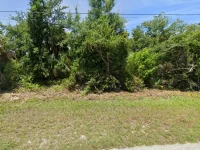 13331 BOUVARDIA LN — photo 3