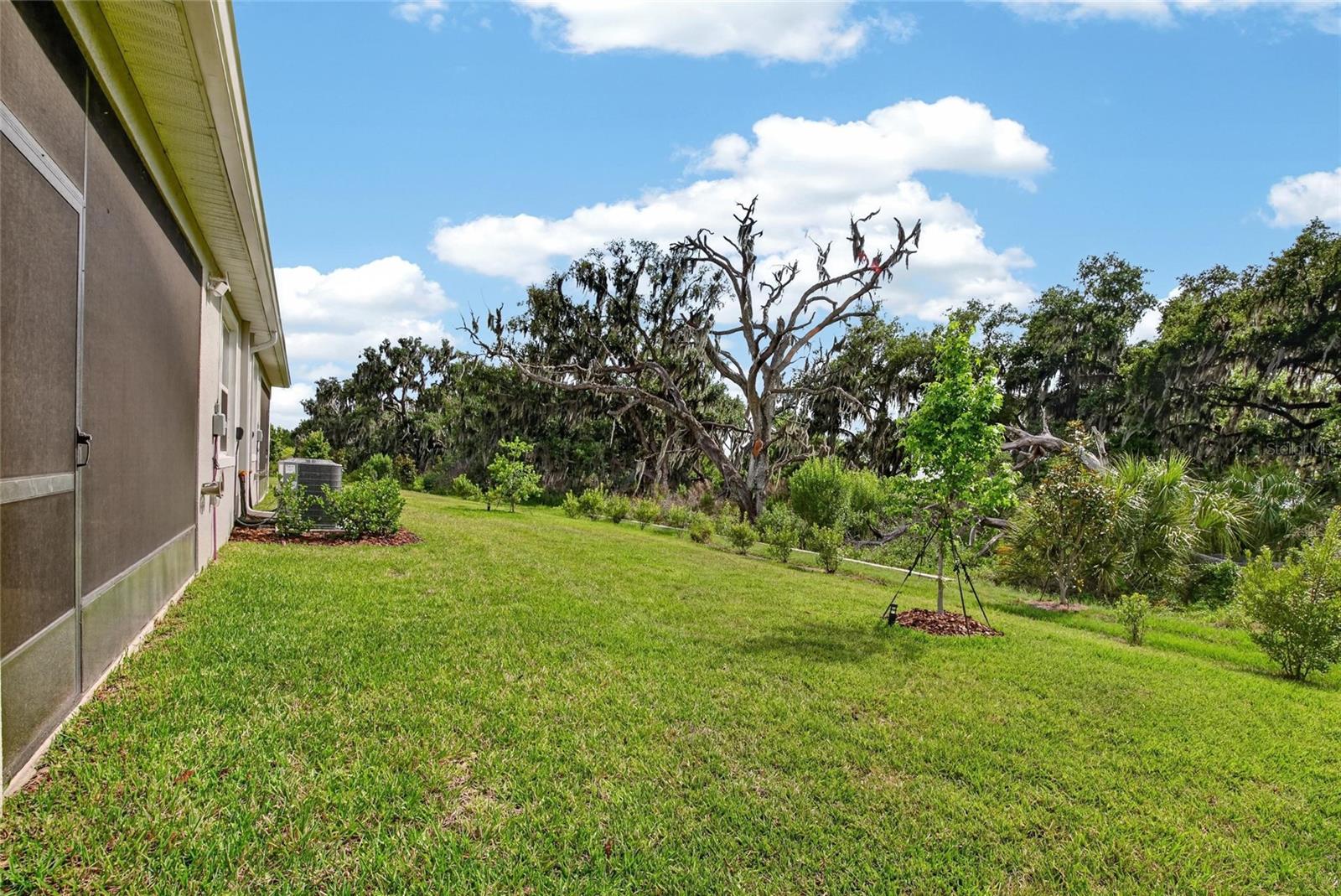 4027 WESTWOOD FIELDS LOOP, PLANT CITY, FL — photo 59