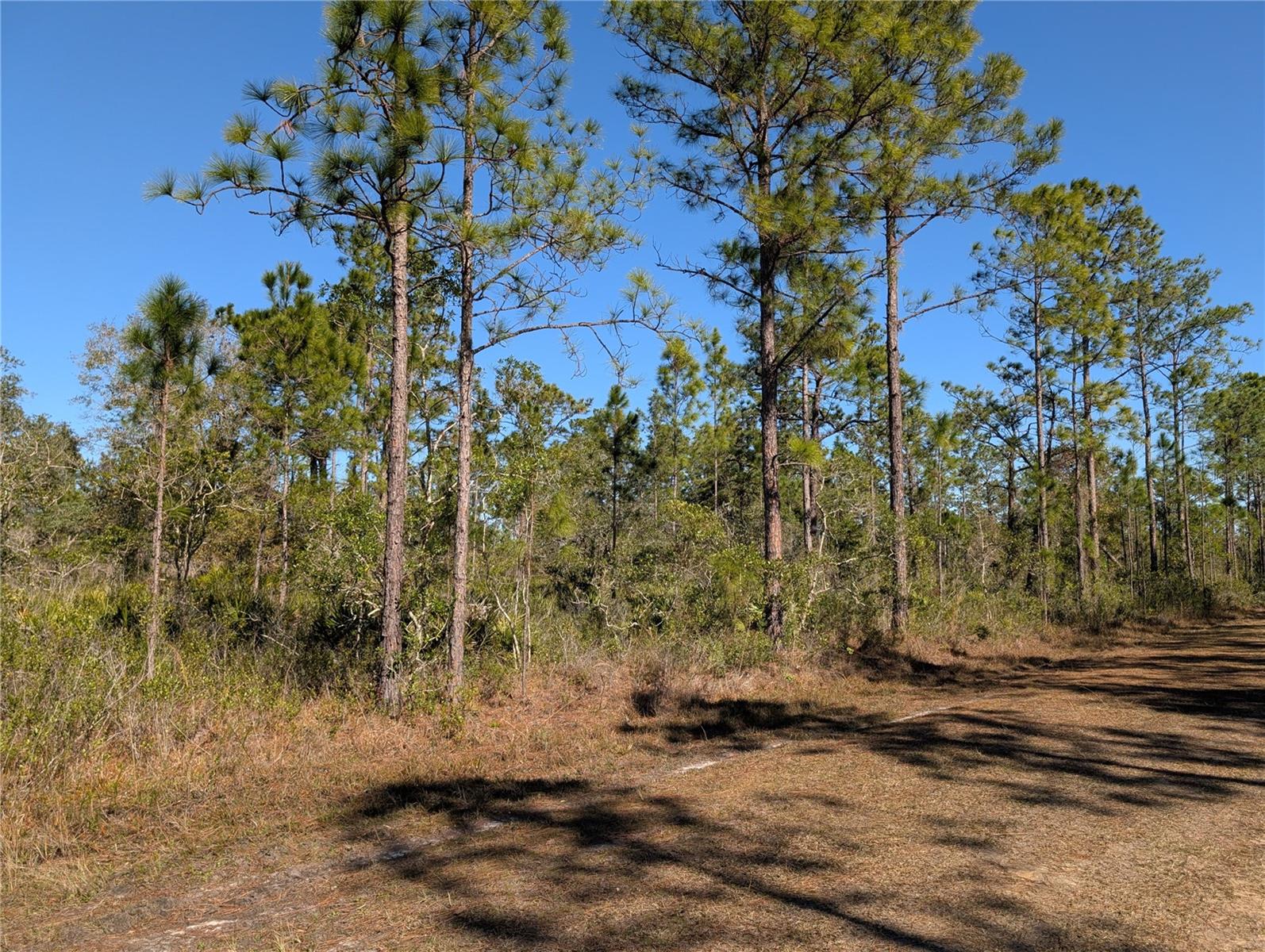 206 IXORA DR, INDIAN LAKE ESTATES, FL