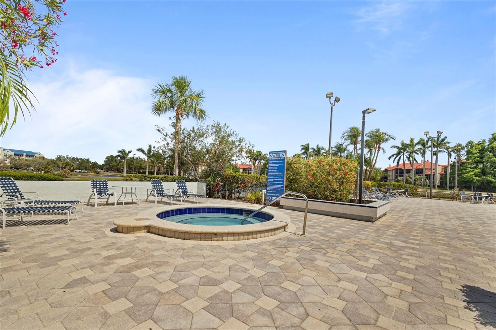 2333 FEATHER SOUND DR #B304, CLEARWATER, FL — photo 43
