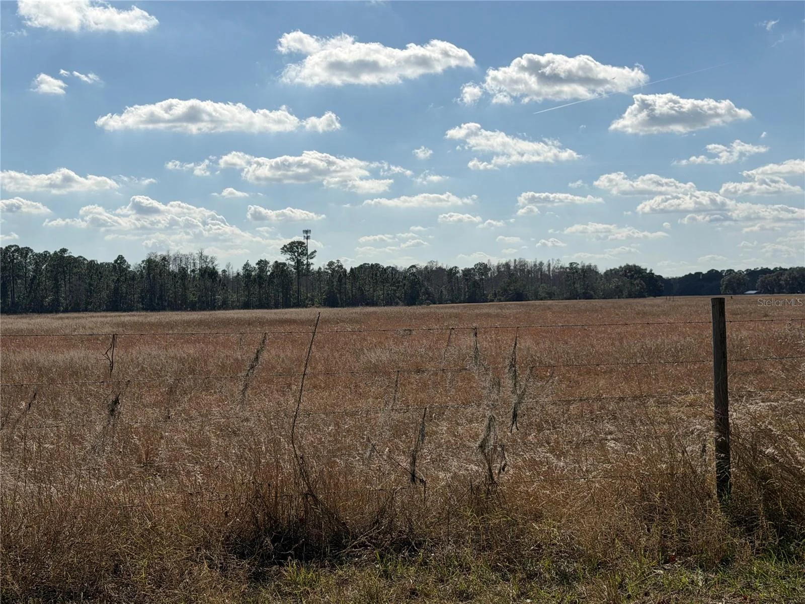 LAKE ERIE, GROVELAND, FL — photo 2
