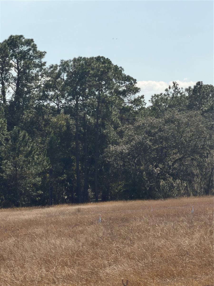 LAKE ERIE, GROVELAND, FL — photo 3