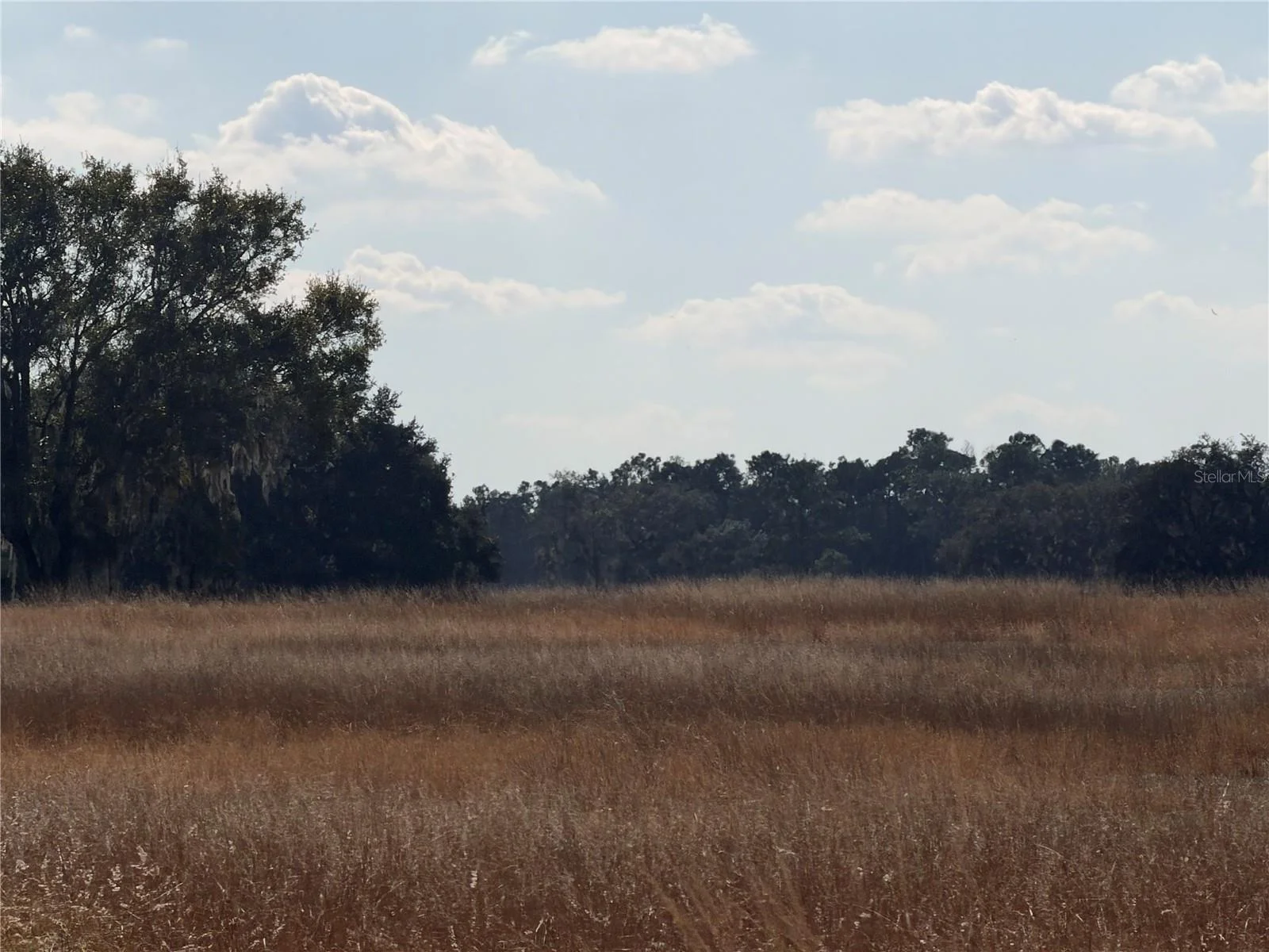 LAKE ERIE, GROVELAND, FL — photo 8