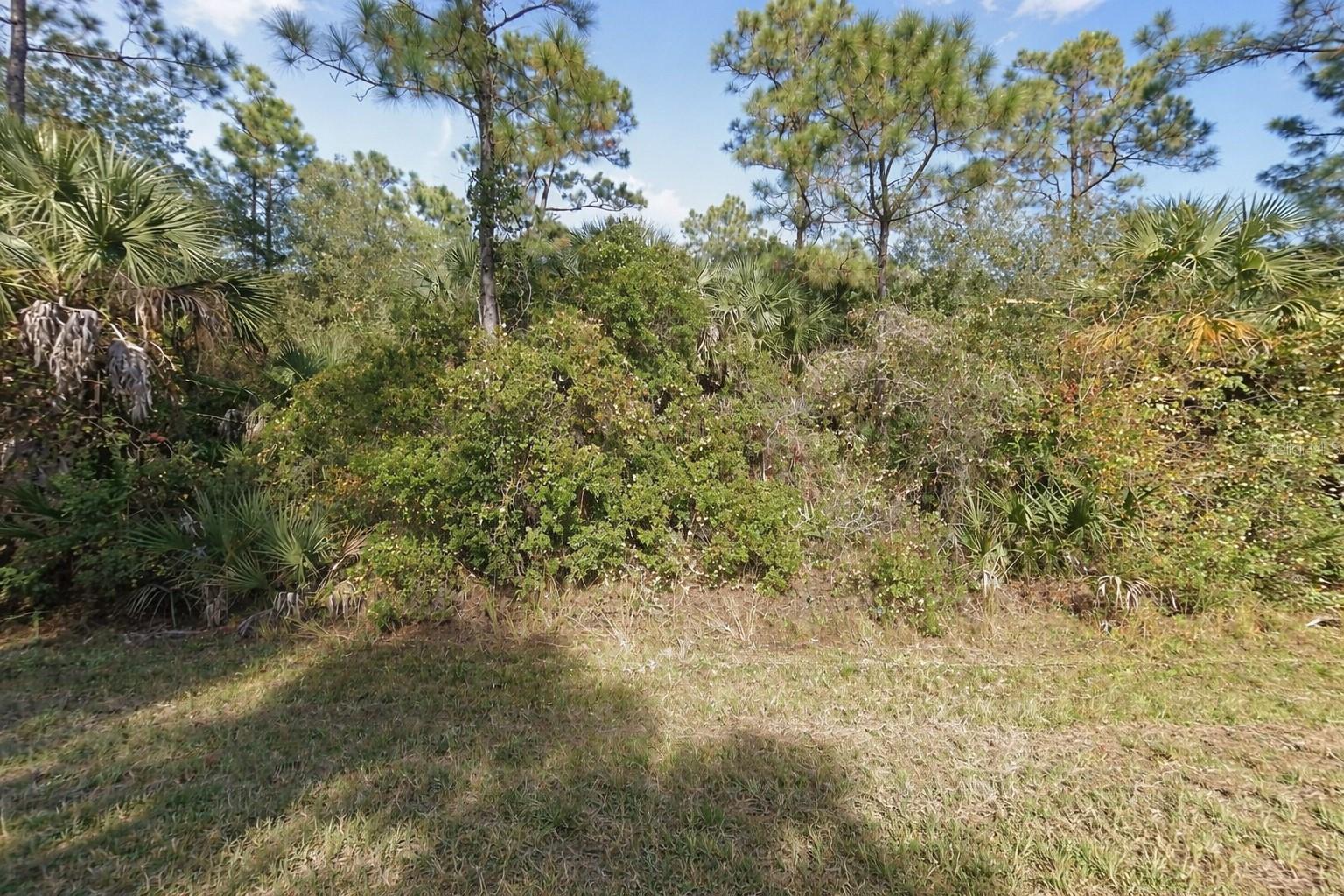 26184 CUSTER RD, PUNTA GORDA, FL — photo 3