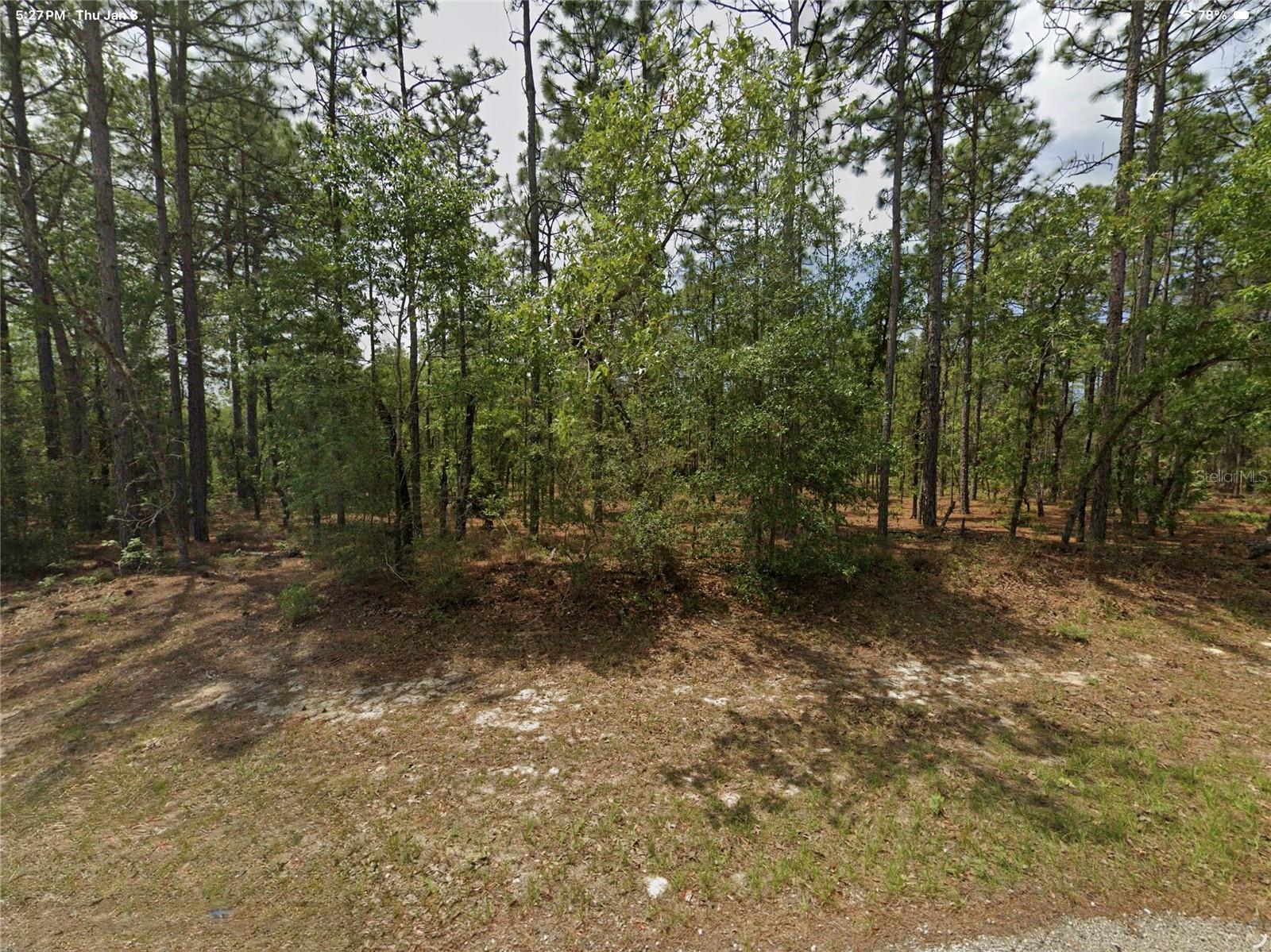 1022 W CARY DR, CITRUS SPRINGS, FL — photo 2