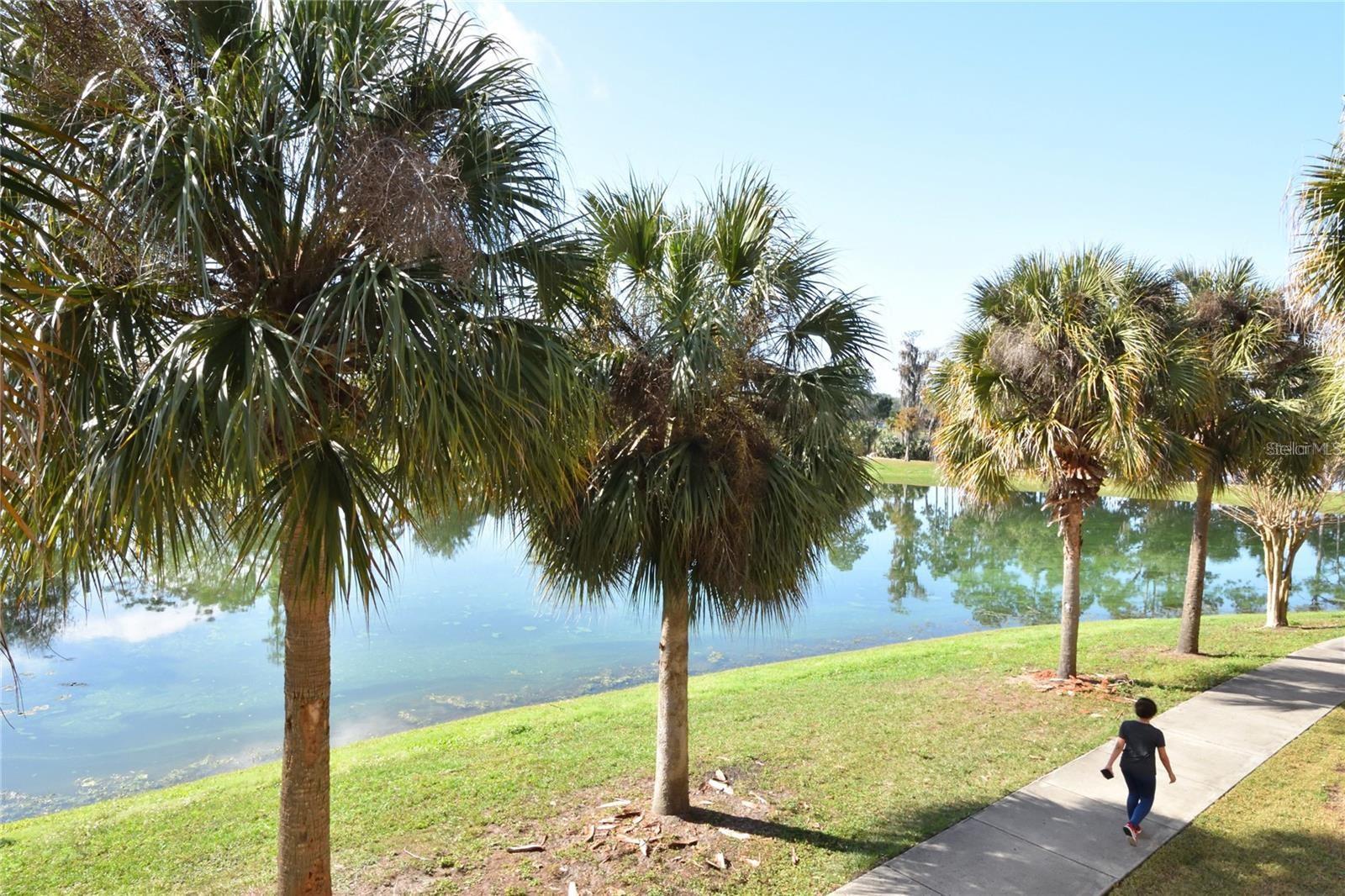 3396 PARKCHESTER SQUARE BLVD #104, ORLANDO, FL — photo 32