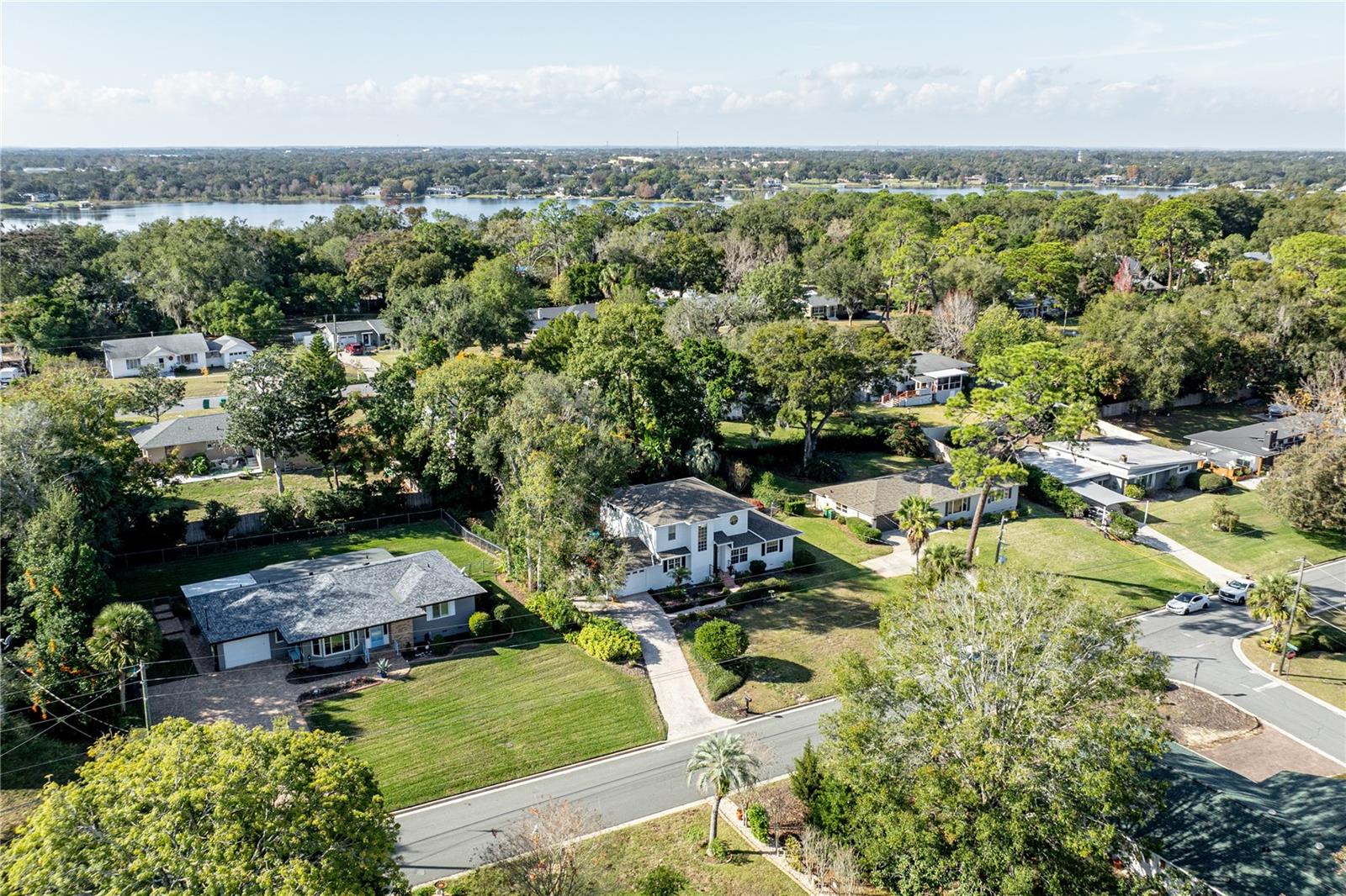 1405 HILLTOP DR, MOUNT DORA, FL — photo 141