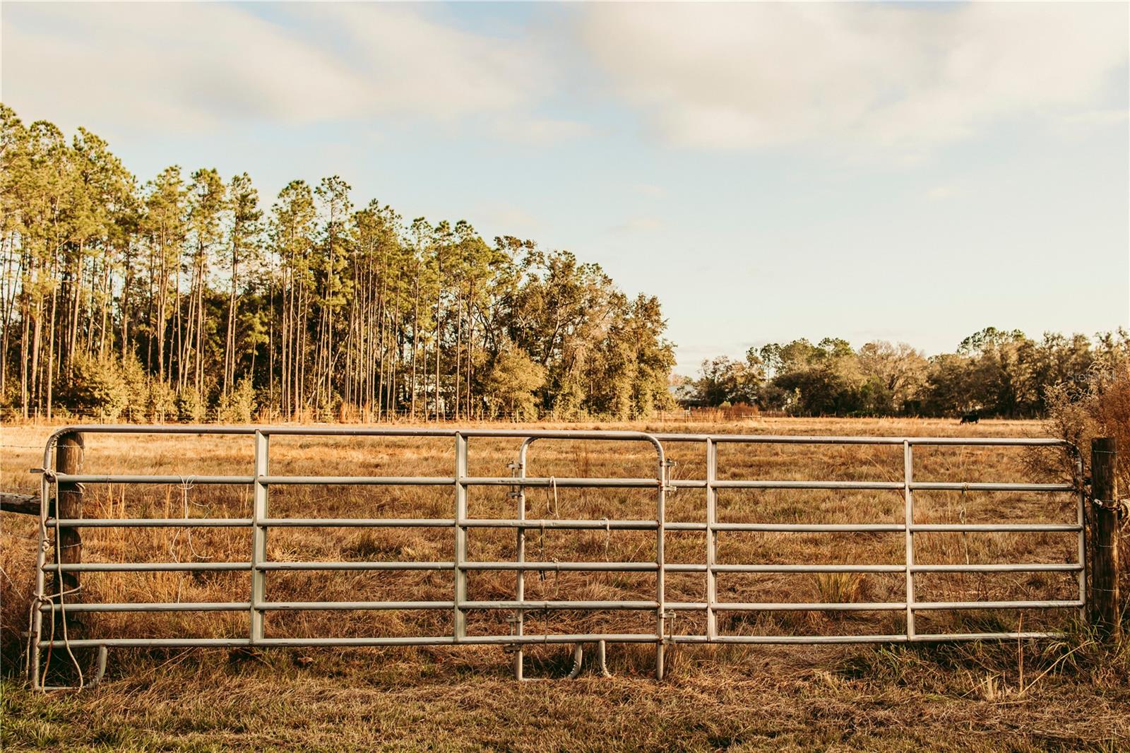 0 N DORMANY RD, PLANT CITY, FL