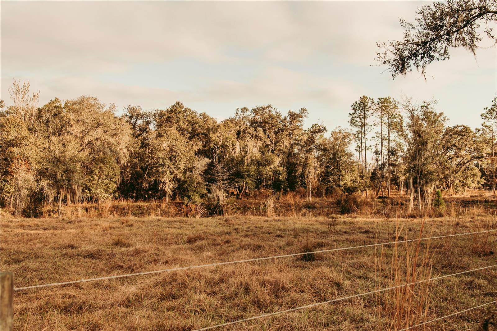 0 N DORMANY RD, PLANT CITY, FL — photo 5