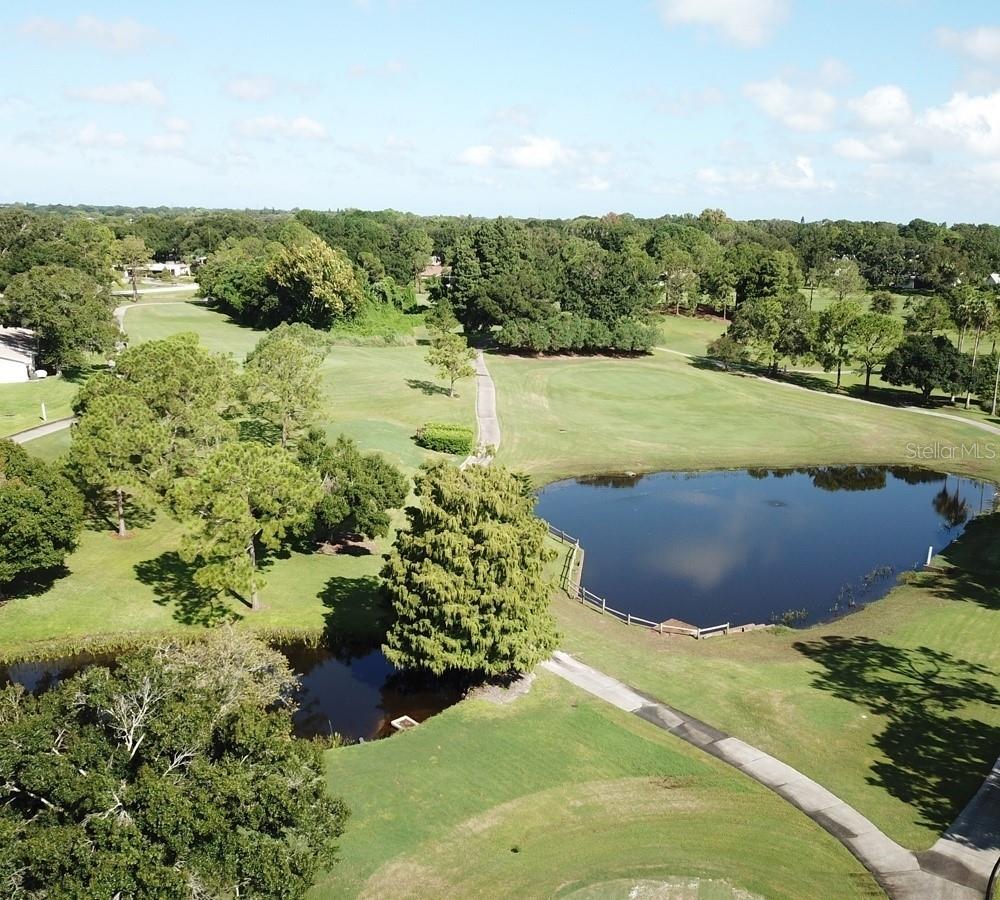 2137 MALCOLM DR, PALM HARBOR, FL — photo 34