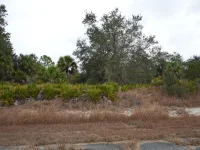 DOZIER TER — photo 2