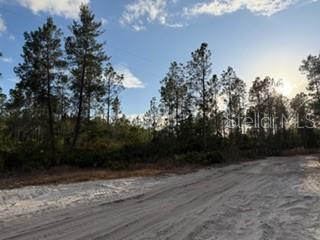 880 STILL RD, PIERSON, FL — photo 2