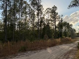 880 STILL RD, PIERSON, FL — photo 3