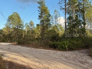 880 STILL RD, PIERSON, FL — photo 4