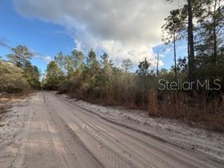 880 STILL RD, PIERSON, FL — photo 5