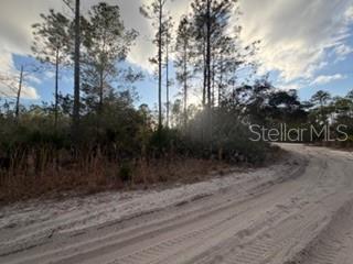 880 STILL RD, PIERSON, FL — photo 6
