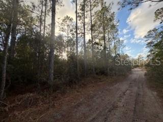 880 STILL RD, PIERSON, FL — photo 7