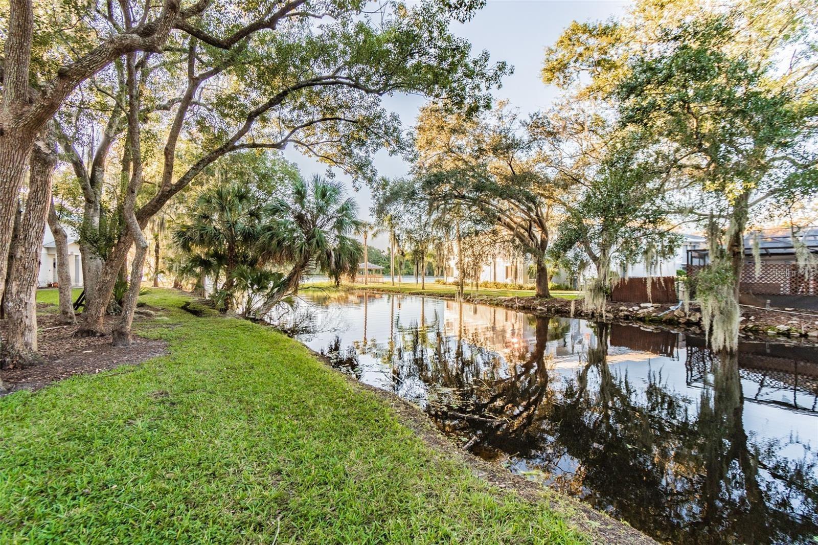 4133 DOLPHIN DR #4133, TAMPA, FL — photo 15