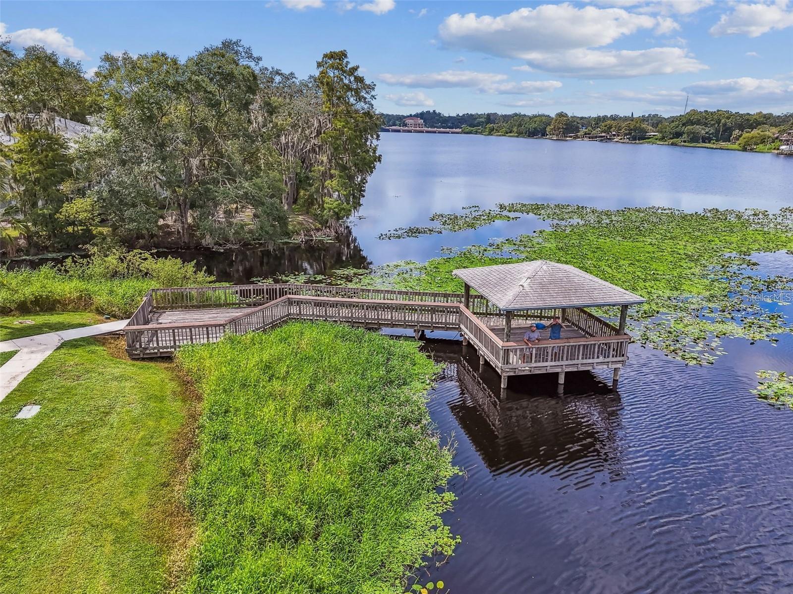 4133 DOLPHIN DR #4133, TAMPA, FL — photo 22