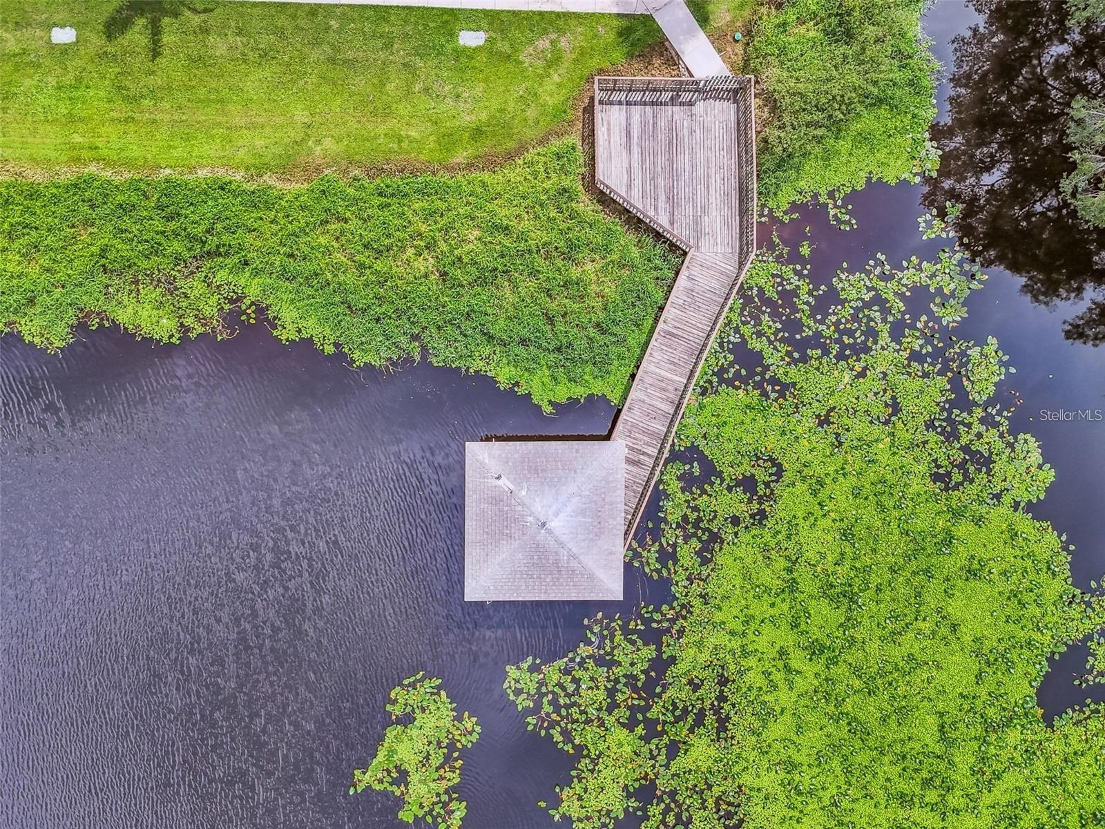 4133 DOLPHIN DR #4133, TAMPA, FL — photo 23