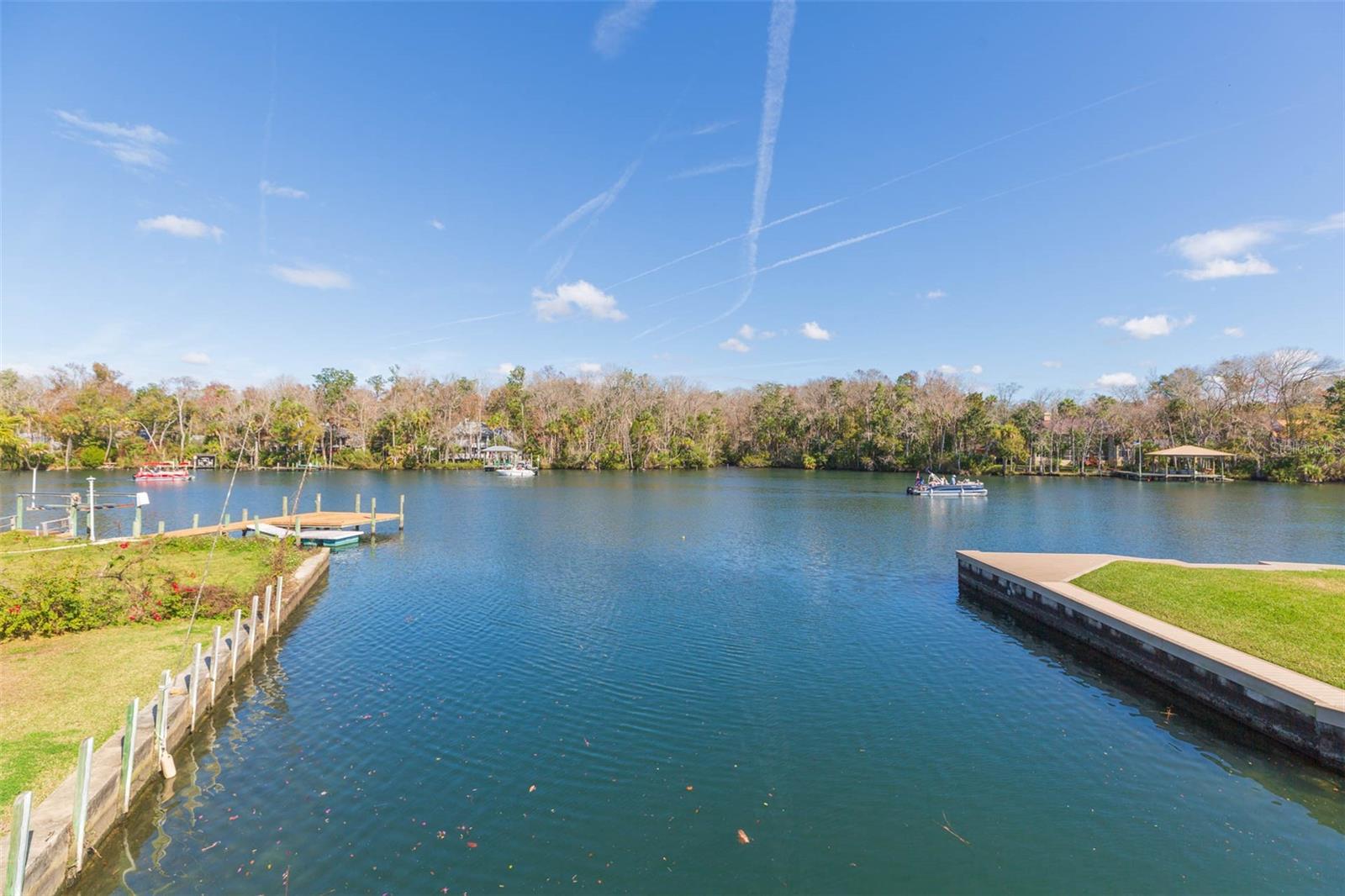 4235 S PURSLANE DR, HOMOSASSA, FL — photo 63