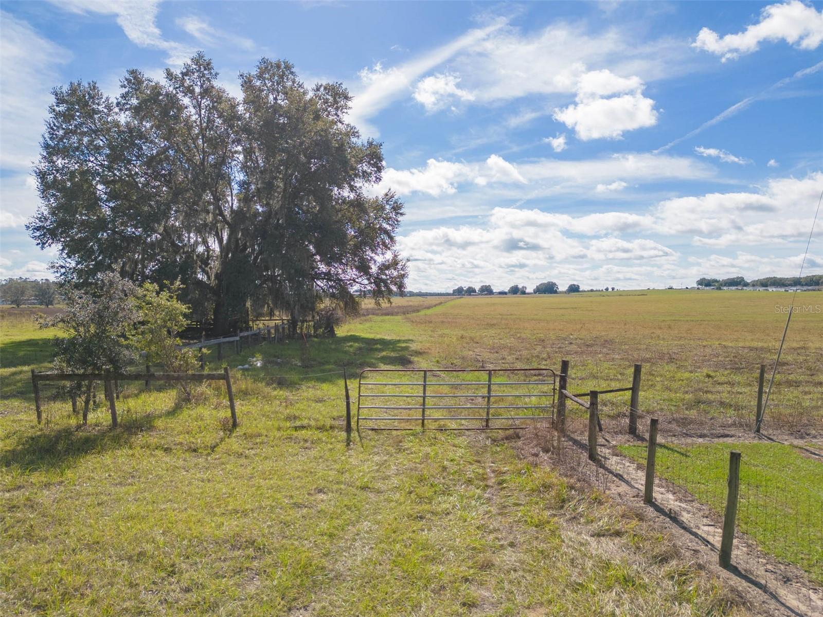 BUR MAC RD, DADE CITY, FL — photo 31