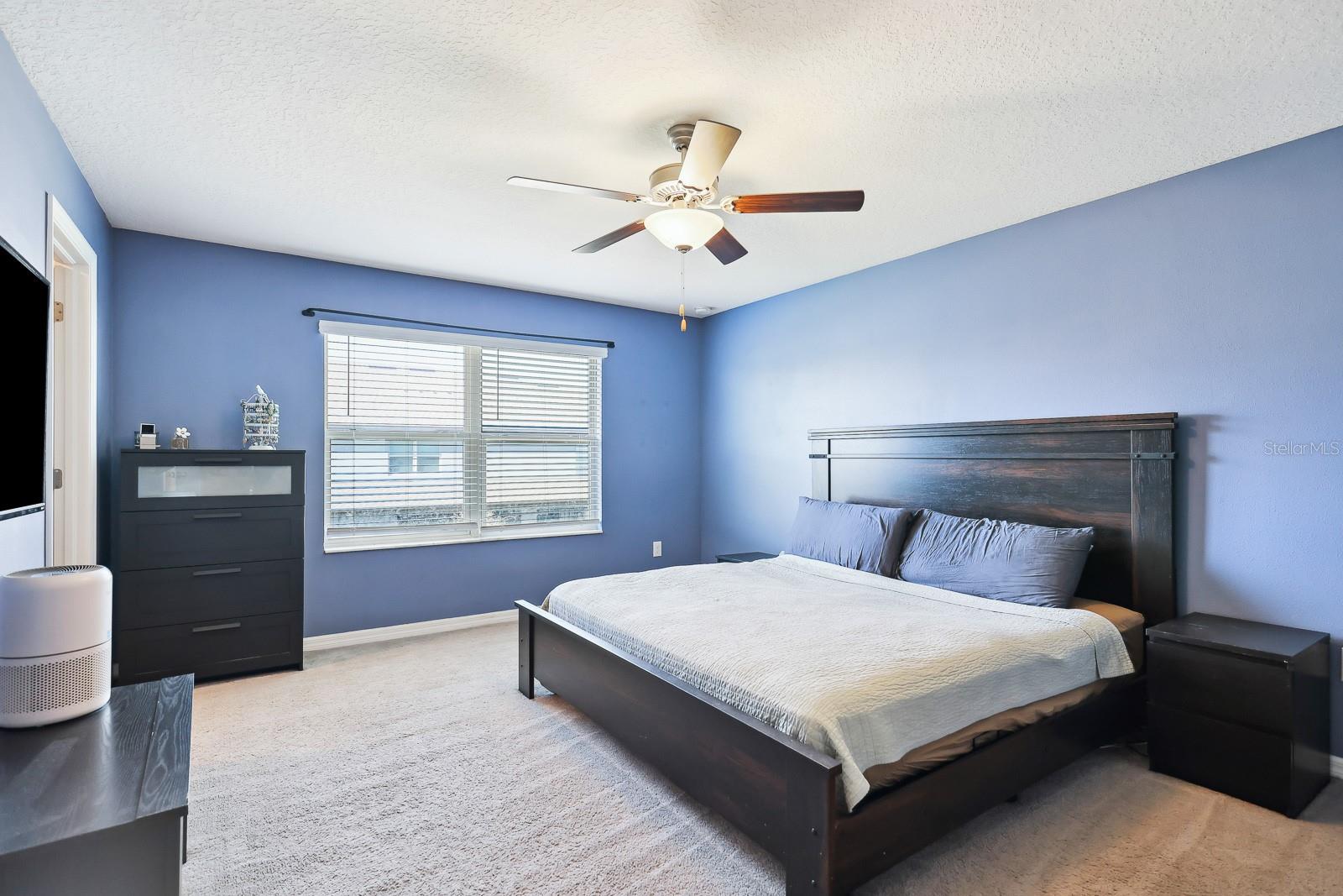 14323 EASY GOER ST, RUSKIN, FL — photo 13