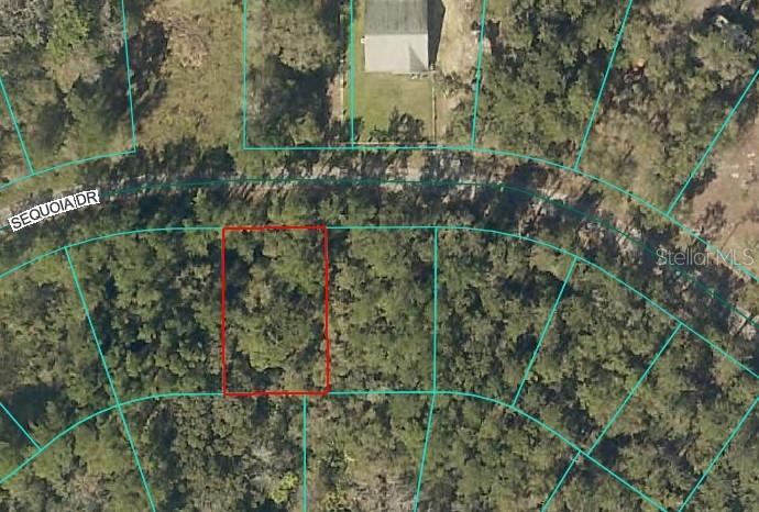 SEQUOIA DR, OCKLAWAHA, FL