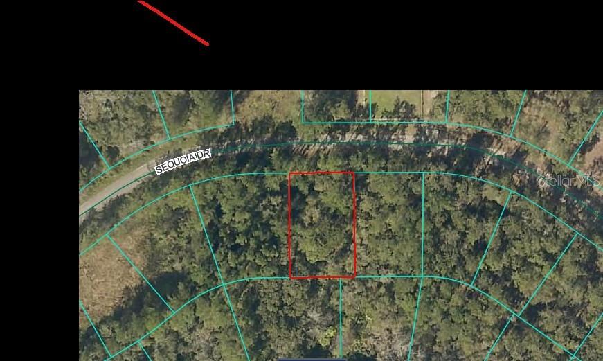SEQUOIA DR, OCKLAWAHA, FL — photo 2