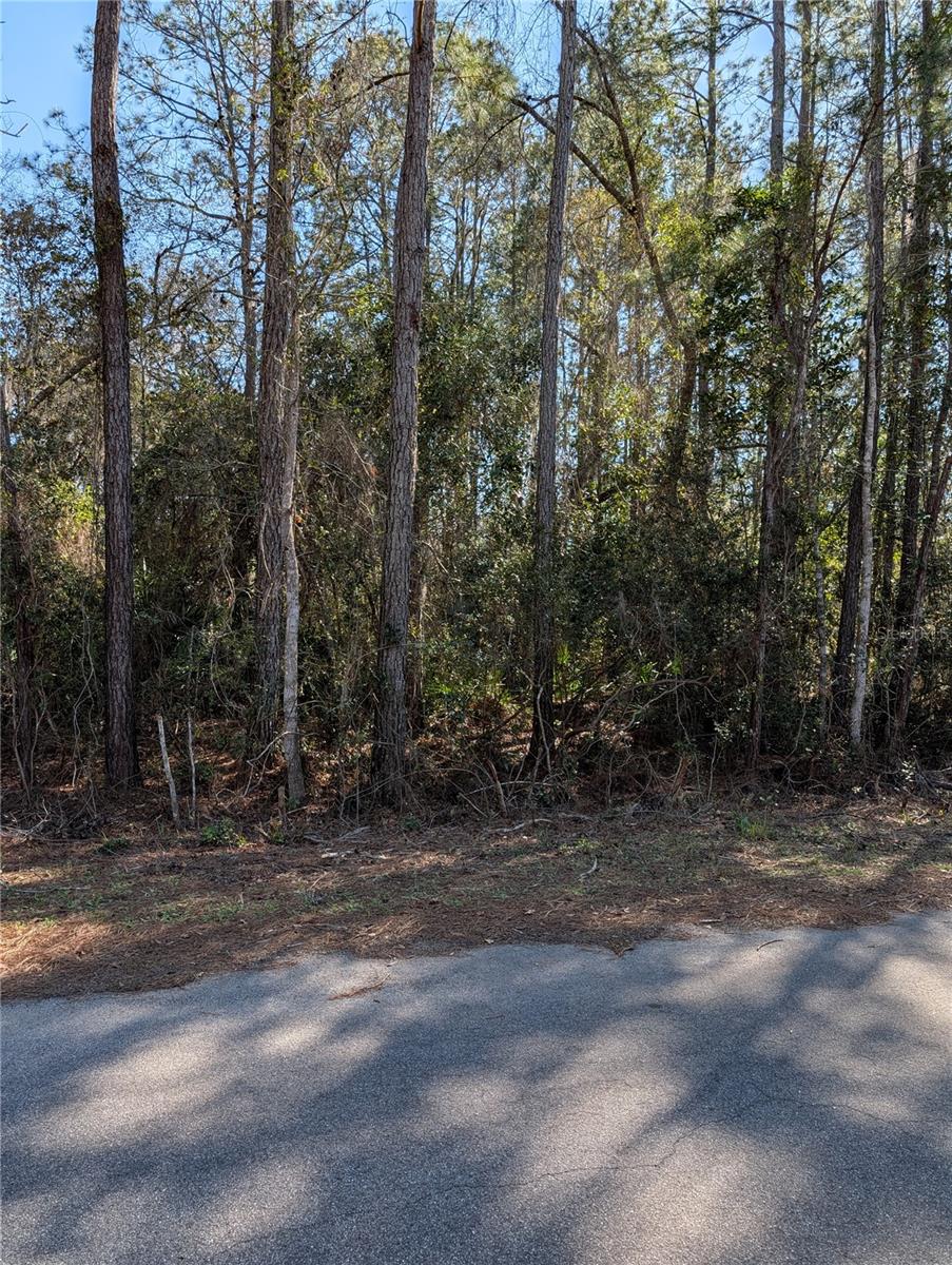 SEQUOIA DR, OCKLAWAHA, FL — photo 3
