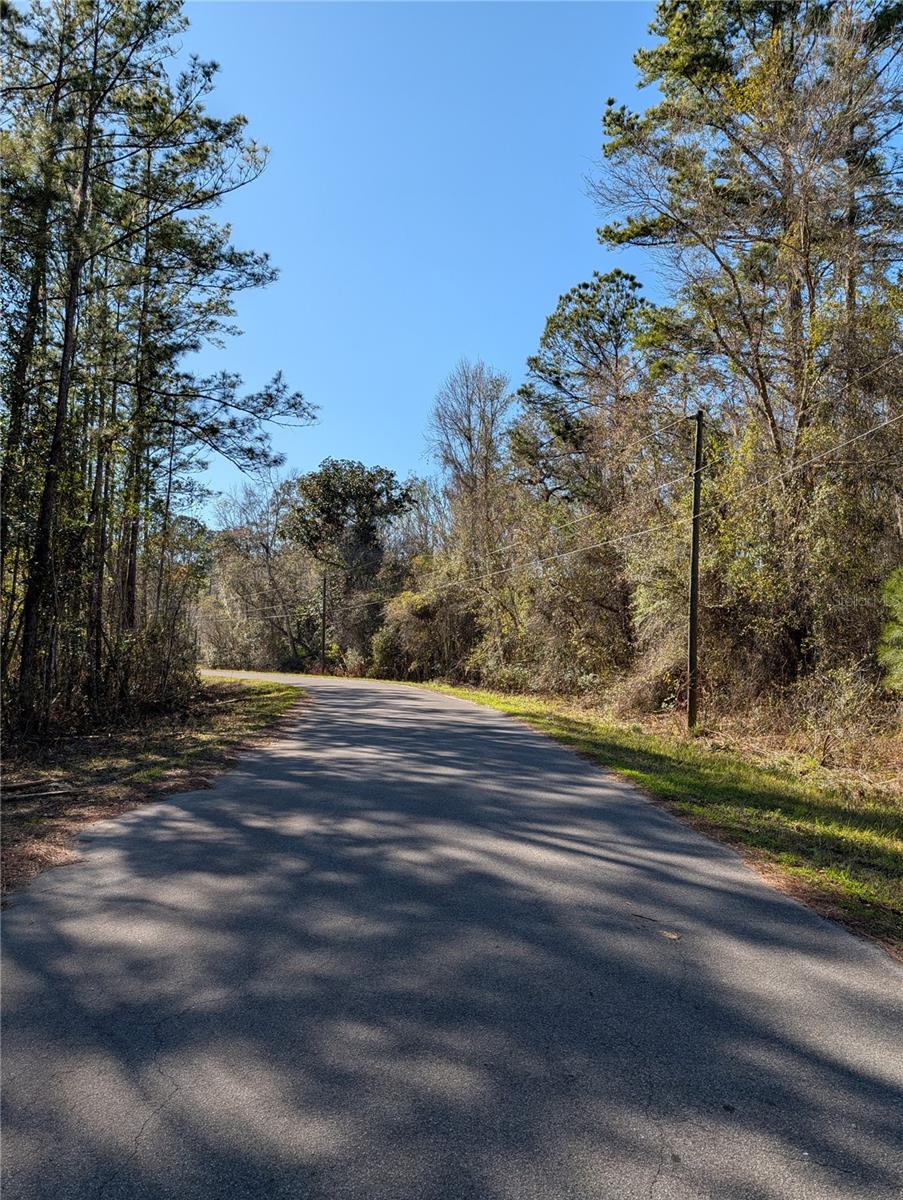 SEQUOIA DR, OCKLAWAHA, FL — photo 4