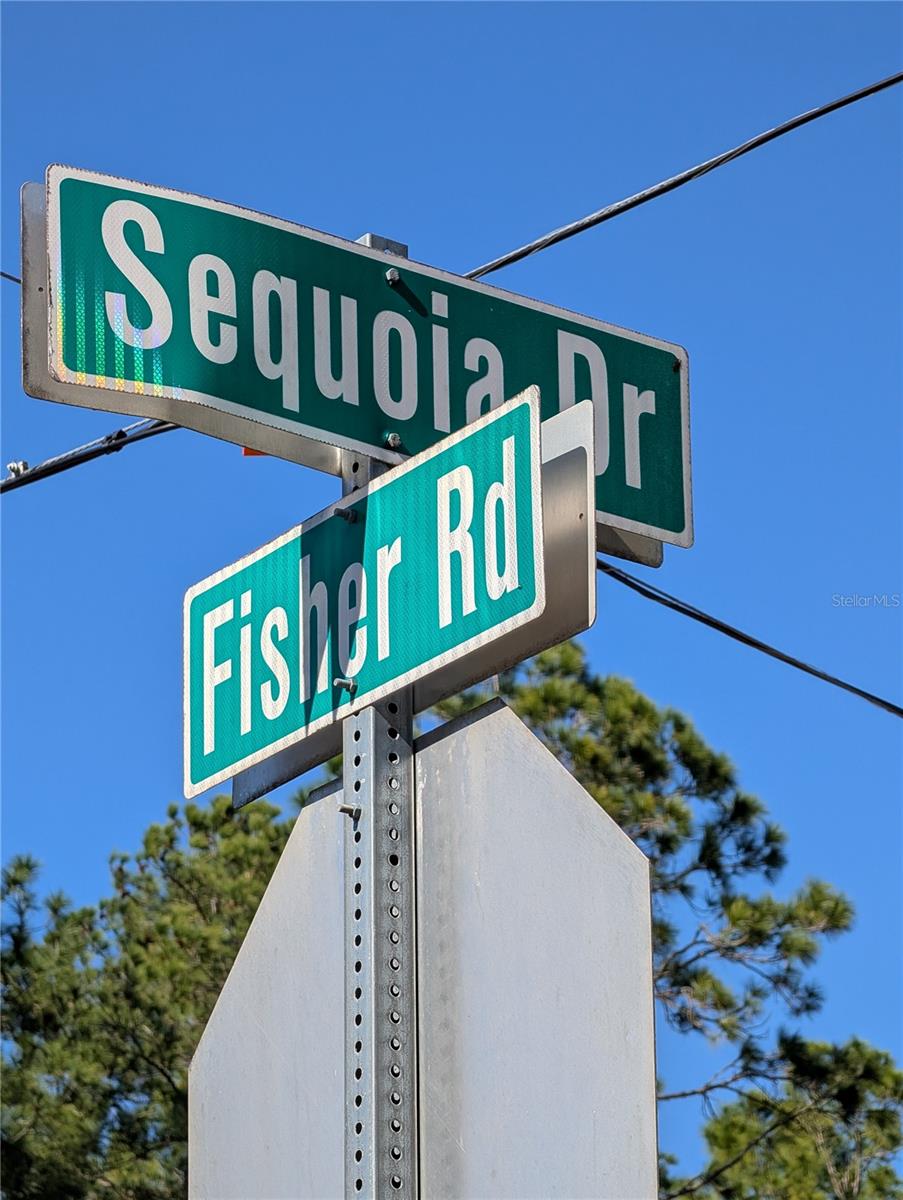 SEQUOIA DR, OCKLAWAHA, FL — photo 5