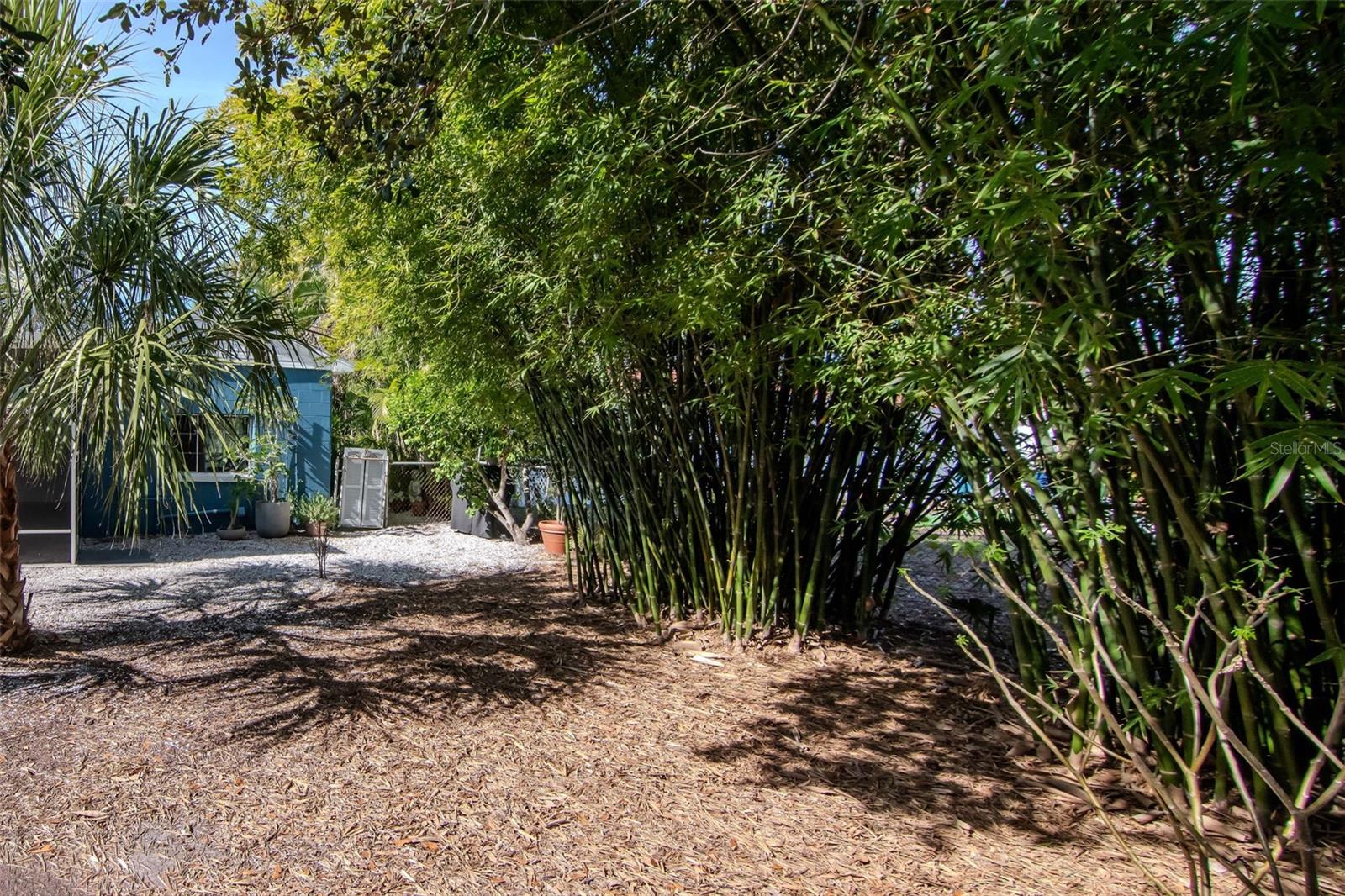 6208 S JONES RD, TAMPA, FL — photo 28