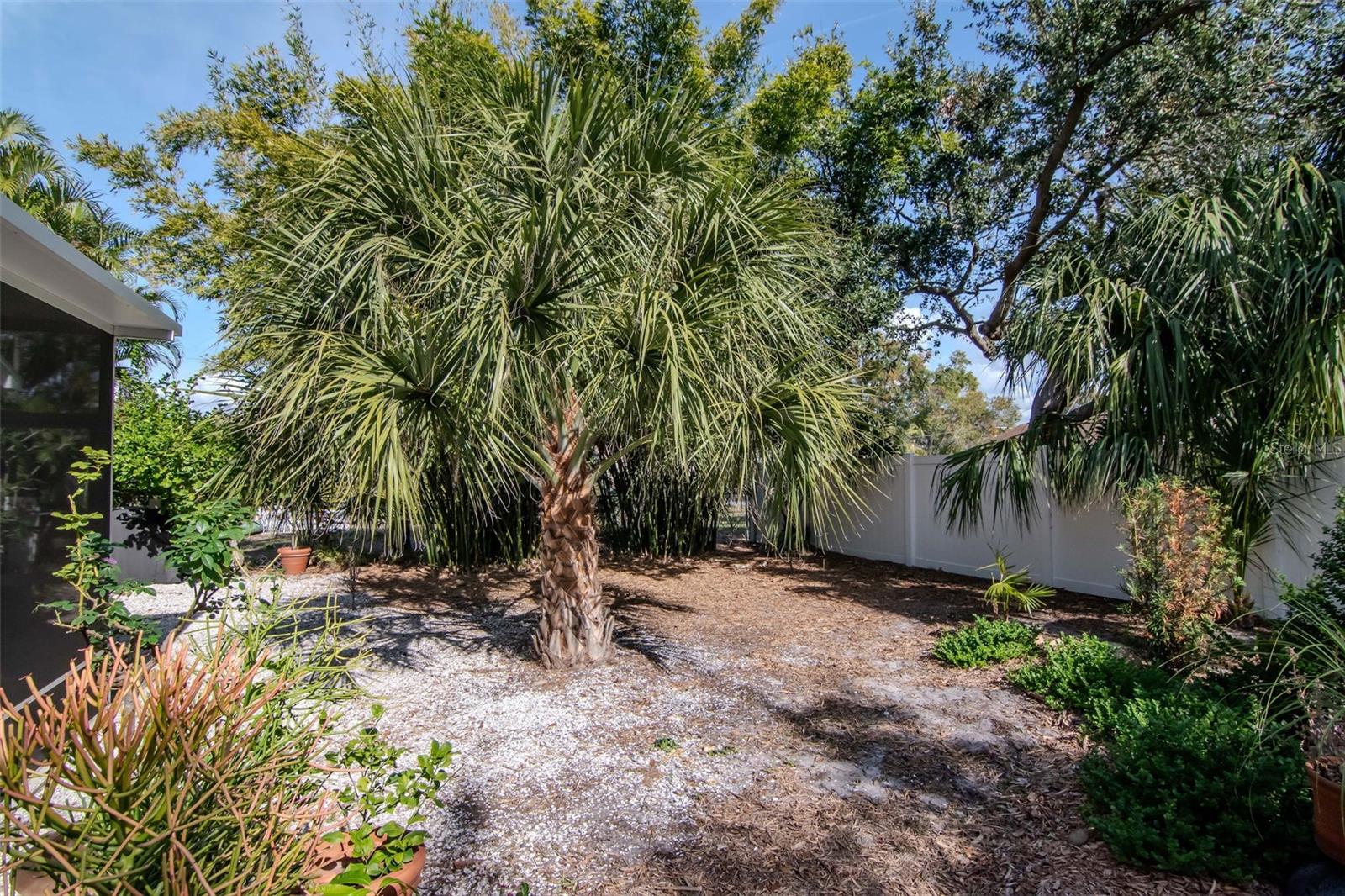 6208 S JONES RD, TAMPA, FL — photo 32