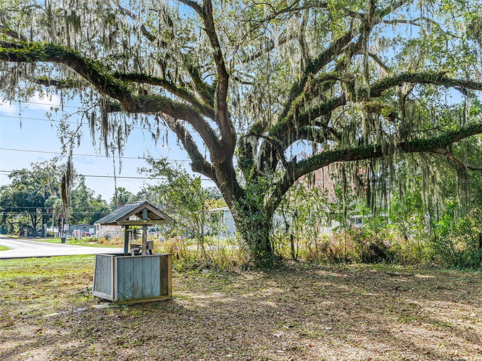 10487 SE HIGHWAY 42, SUMMERFIELD, FL — photo 59