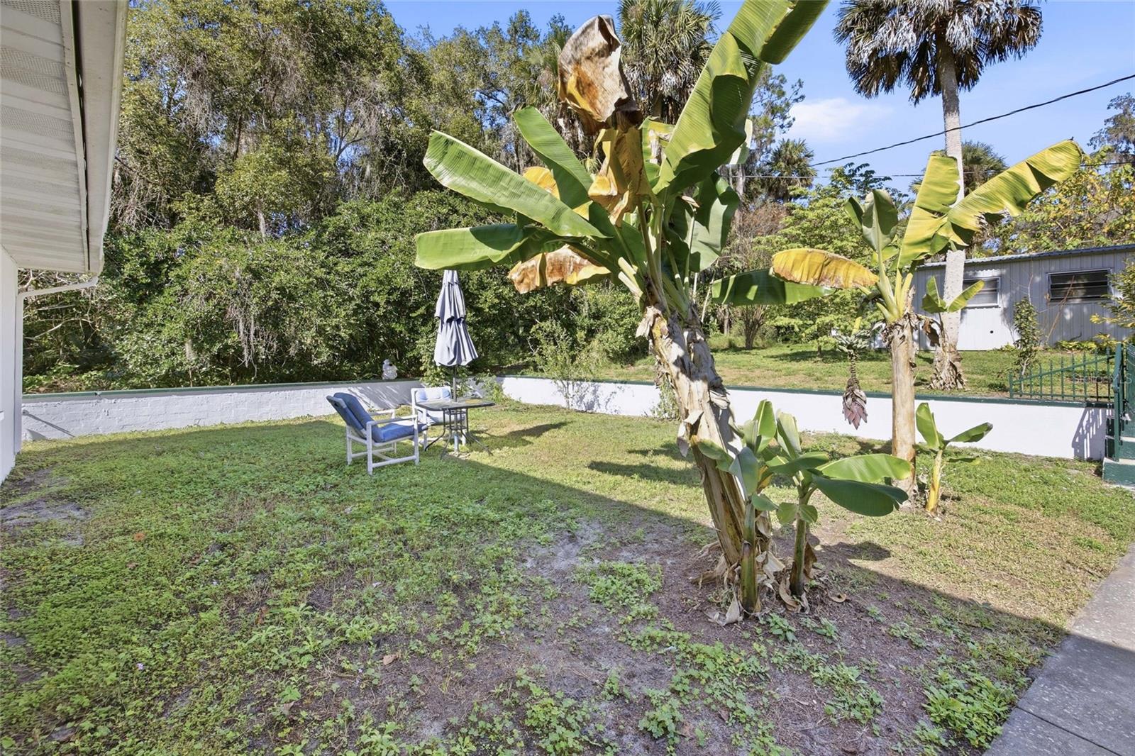 280 PALM CT, UMATILLA, FL — photo 120