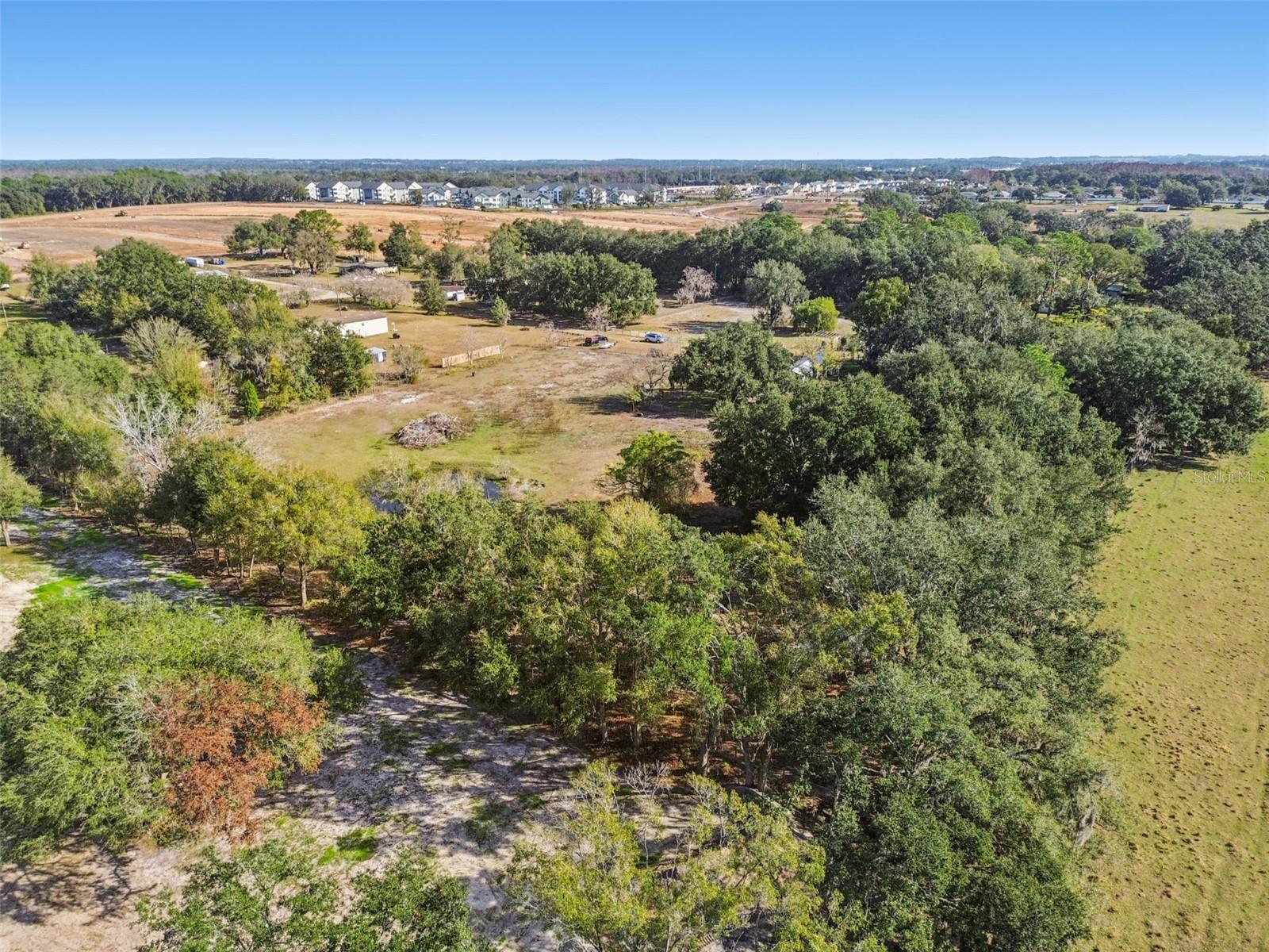 28538 RICE RD, SAN ANTONIO, FL — photo 25