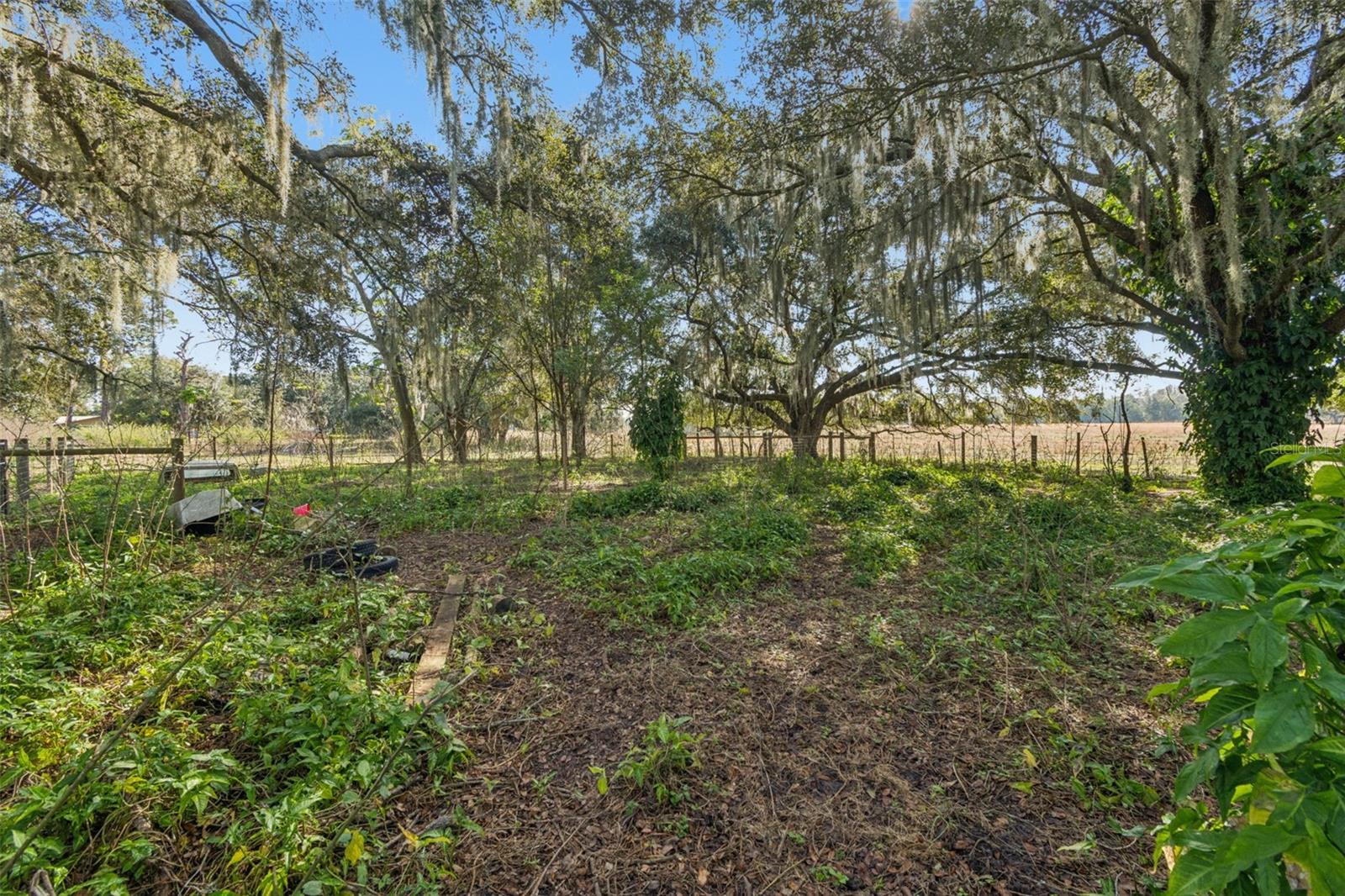 28538 RICE RD, SAN ANTONIO, FL — photo 32