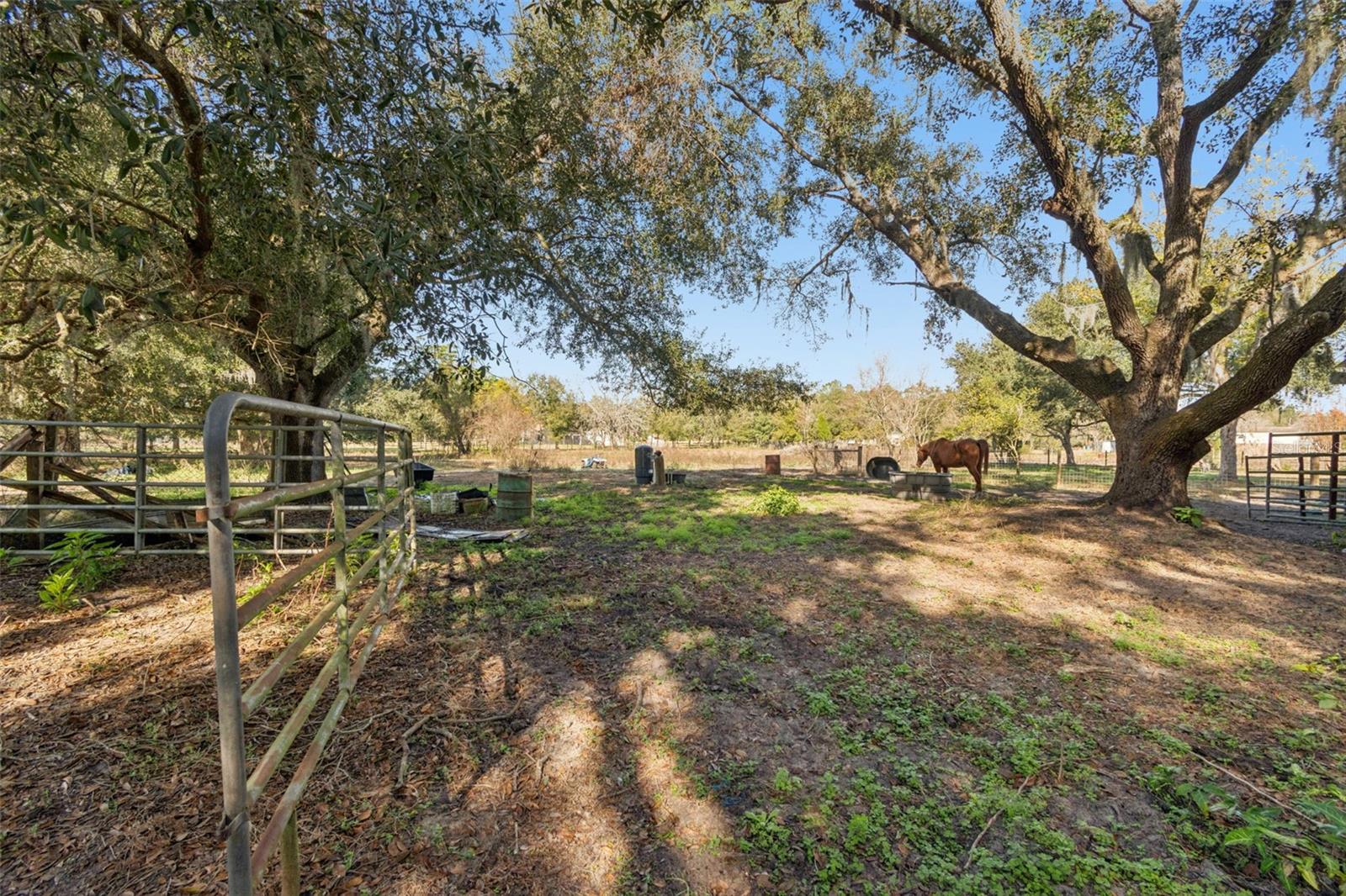28538 RICE RD, SAN ANTONIO, FL — photo 33