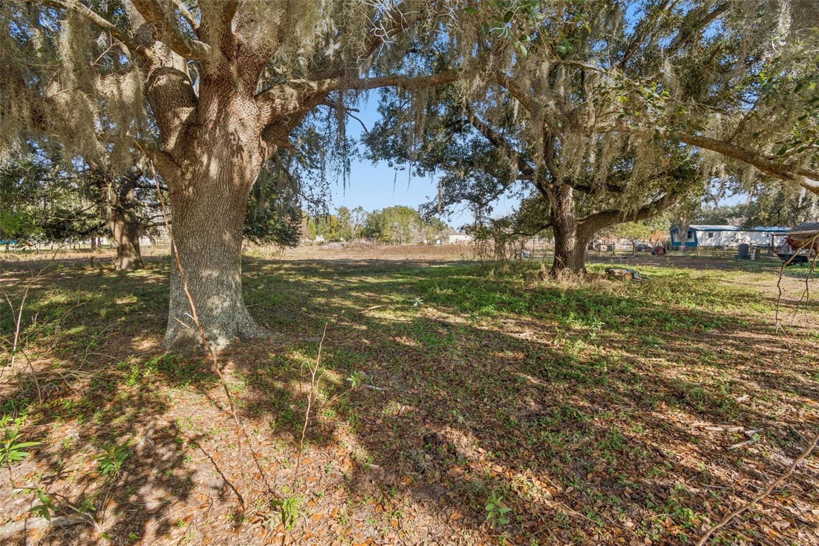 28538 RICE RD, SAN ANTONIO, FL — photo 34
