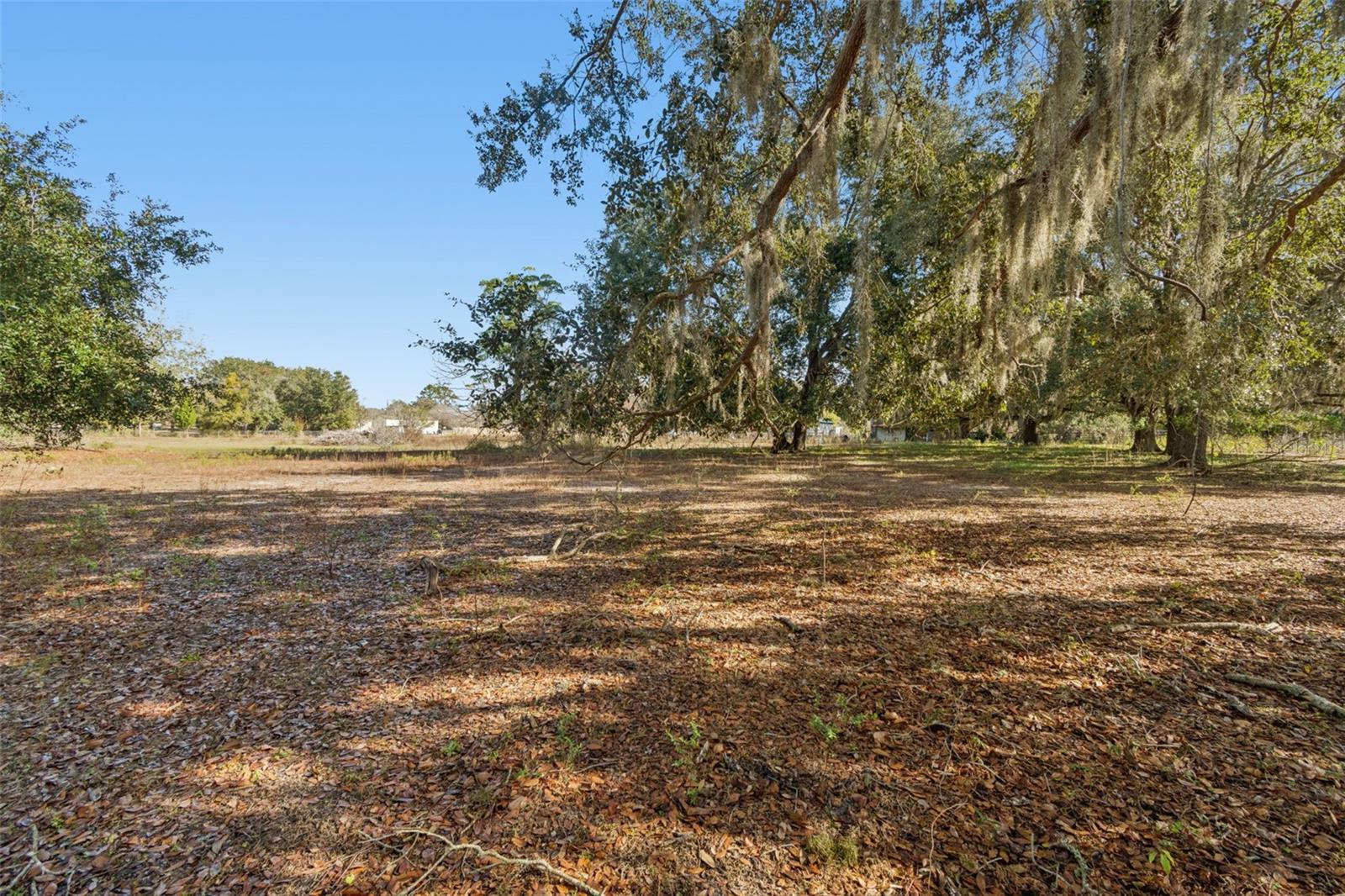 28538 RICE RD, SAN ANTONIO, FL — photo 35